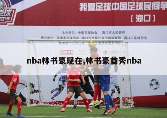 nba林书豪现在,林书豪首秀nba