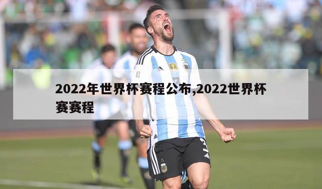 2022年世界杯赛程公布,2022世界杯赛赛程