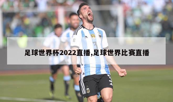 足球世界杯2022直播,足球世界比赛直播