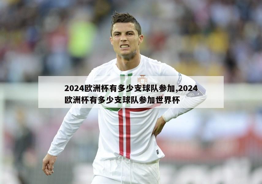 2024欧洲杯有多少支球队参加,2024欧洲杯有多少支球队参加世界杯