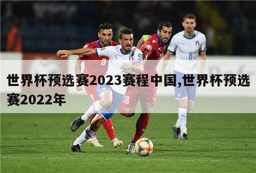 世界杯预选赛2023赛程中国,世界杯预选赛2022年