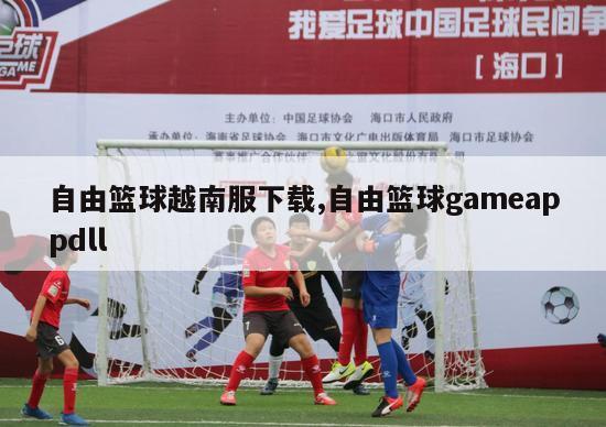 自由篮球越南服下载,自由篮球gameappdll