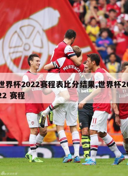 世界杯2022赛程表比分结果,世界杯2022 赛程