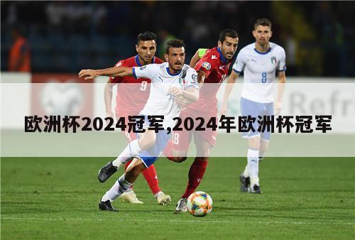 欧洲杯2024冠军,2024年欧洲杯冠军