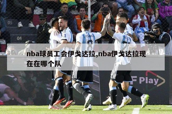 nba球员工会伊戈达拉,nba伊戈达拉现在在哪个队