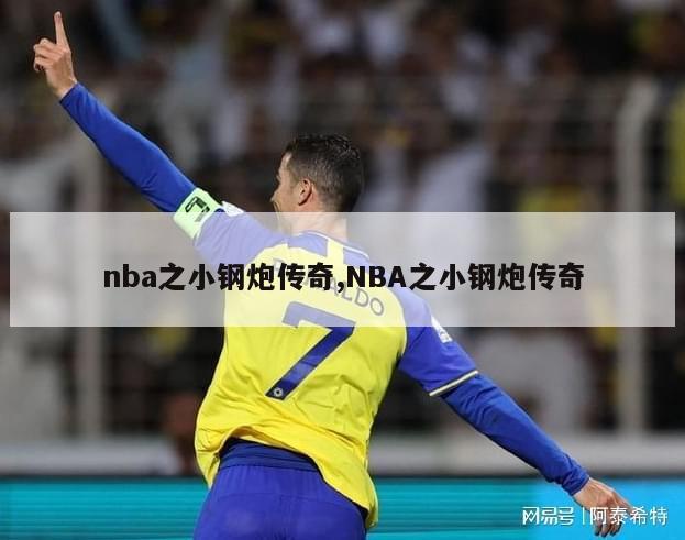 nba之小钢炮传奇,NBA之小钢炮传奇